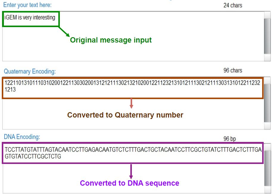 bacteria as a hard drive text to quaternary to dna